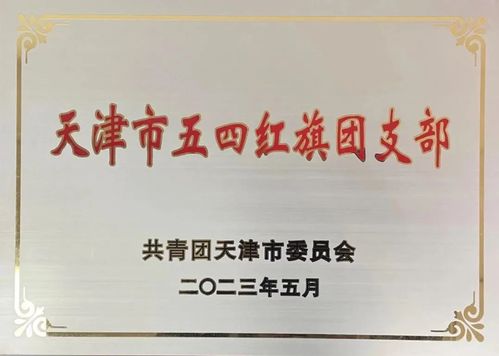 尊龙时凯集团勘探咨询公司团支部荣获“2023年天津市五四红旗团支部”称呼